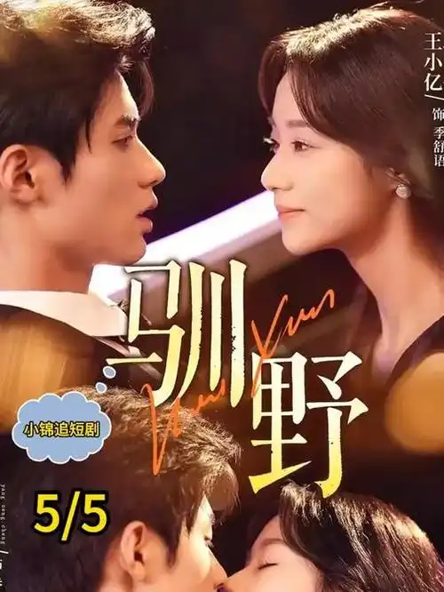 专题图鉴剧集分区条目封面
